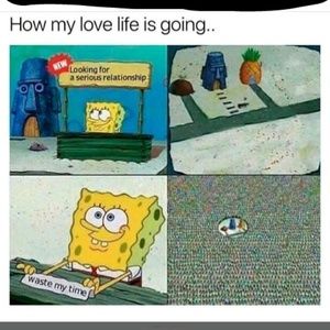 Meet your Posher, Sonya